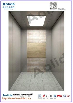 Kućni stambeni putnički lift Lift