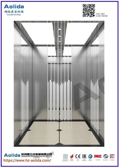 Standing Home Elevator